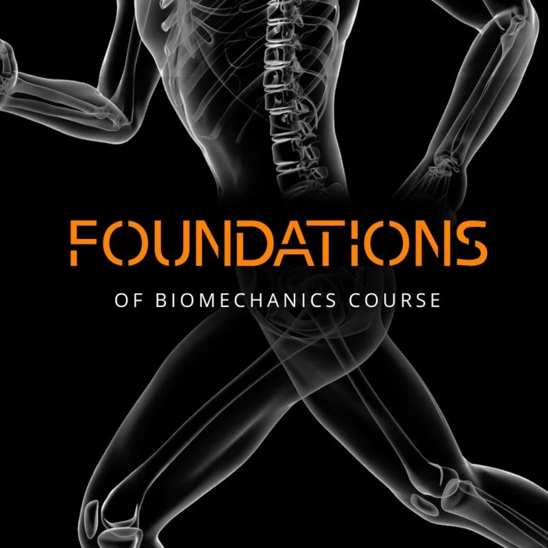 The Foundations of Biomechanics Course
